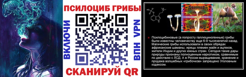 Галлюциногенные грибы Psilocybine cubensis  Купить закладки  Воскресенск 